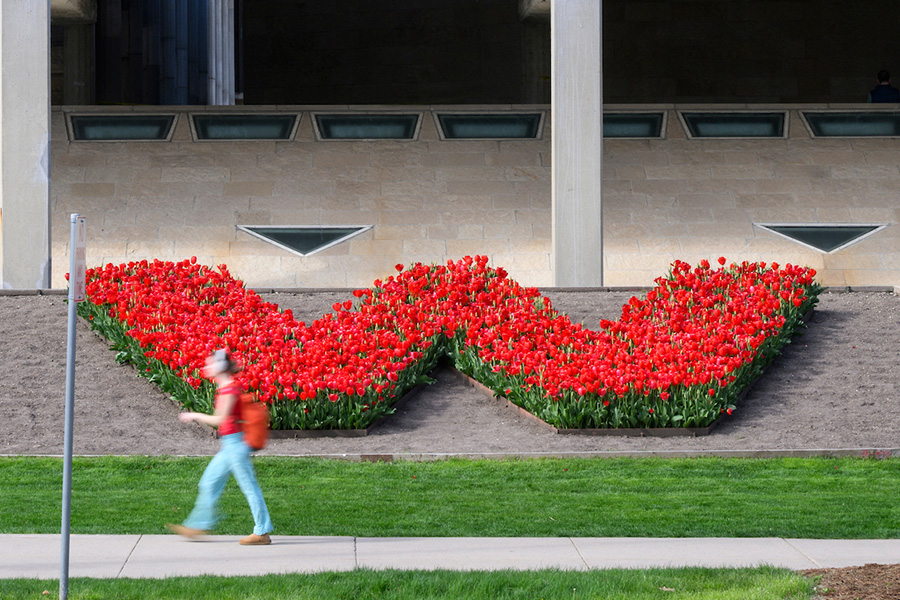 A person walks by red tulips blooming in the shape of a W in front of the Mosse Humanities Building.